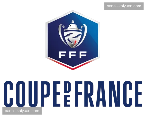 通讯：一座小城的荣耀——记法国小镇球队的法国杯黑马之旅