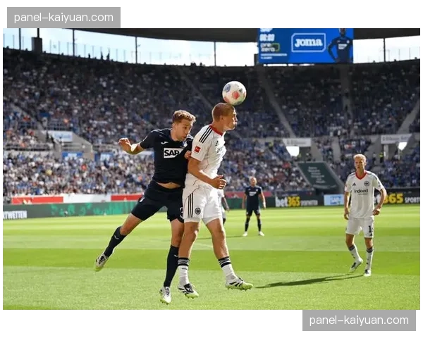 斯图加特3-1霍芬海姆,青年军展现快速推进的成熟体系 斯图加特3-1霍芬海姆,青年军展现快速推进的成熟体系